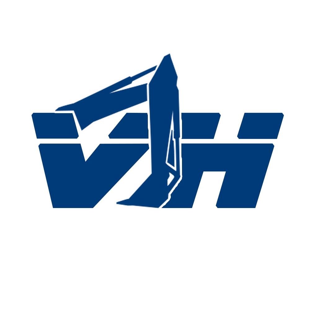 logo viet hoang